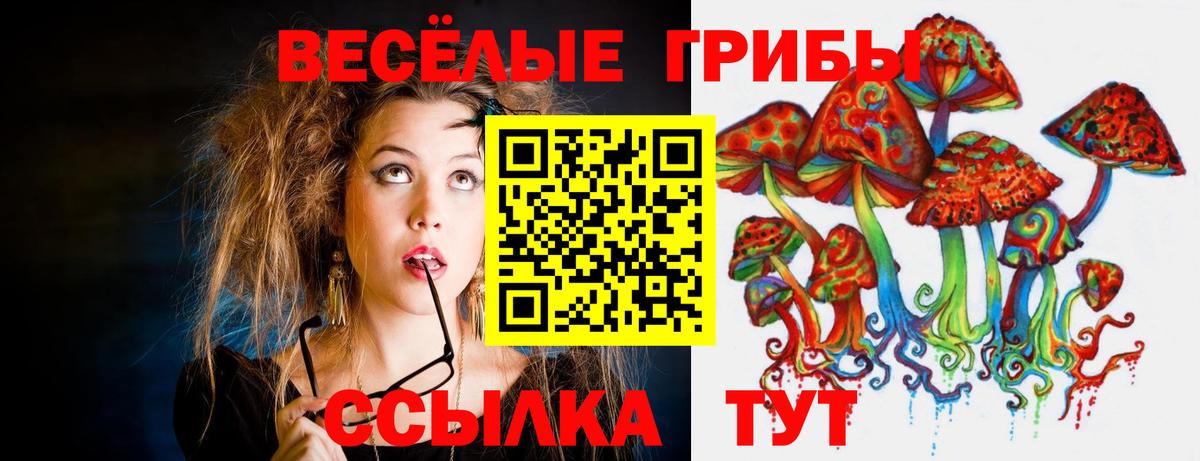 Галлюциногенные грибы Magic Shrooms Сатка